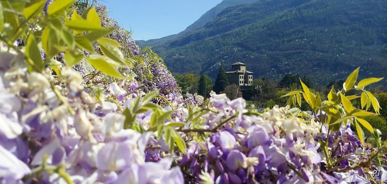Apartmán Lo Gnomo Sotto Al Glicine Châtillon Exteriér fotografie