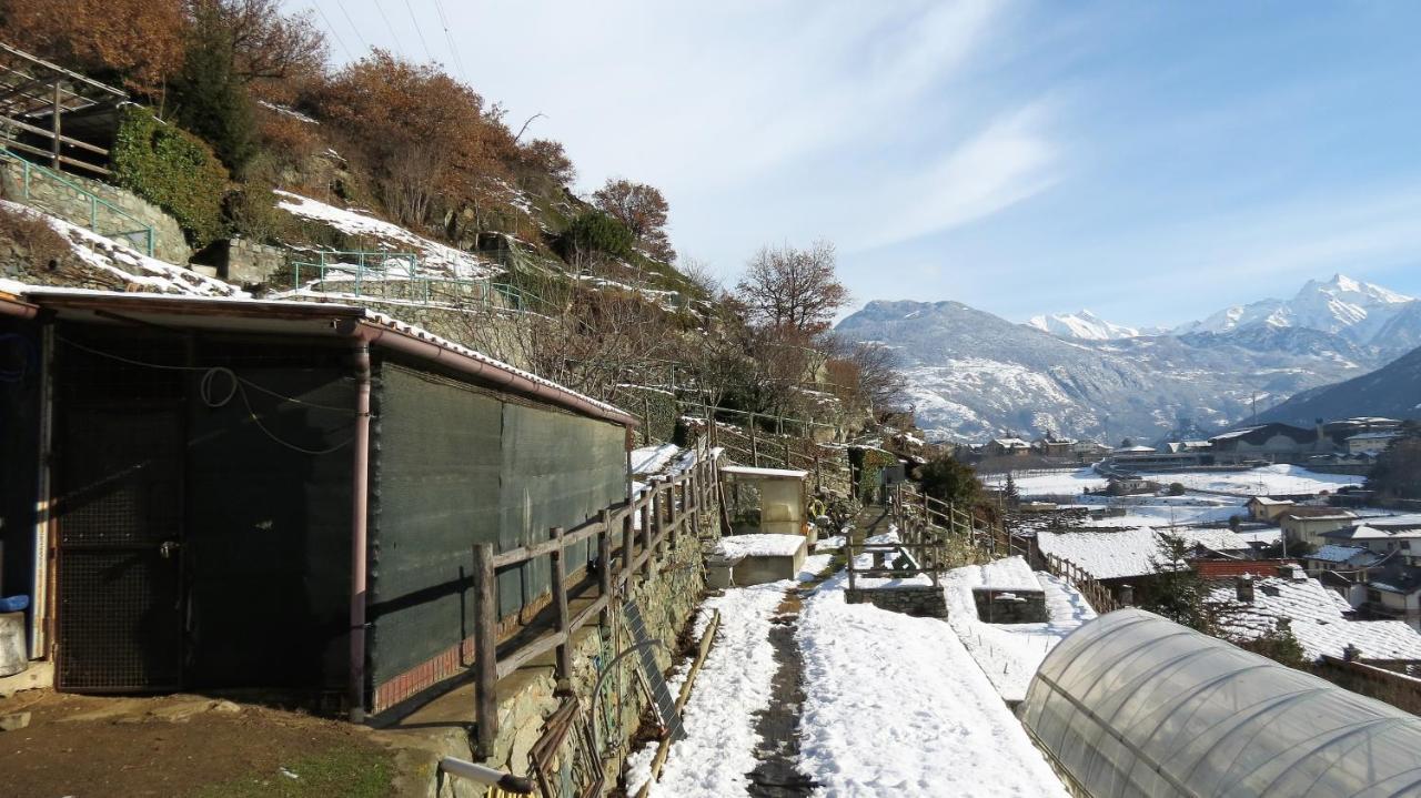Apartmán Lo Gnomo Sotto Al Glicine Châtillon Exteriér fotografie